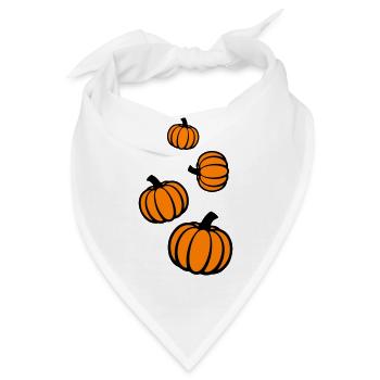 Kürbis - Bandana - Weiß - Vorne