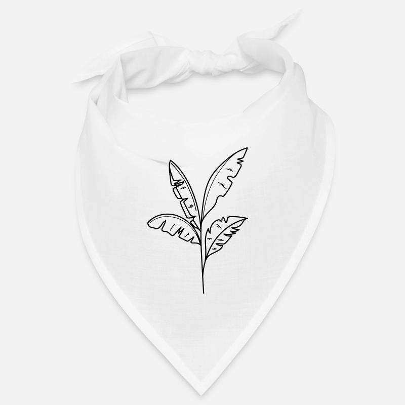 Bananier palmier Bandana