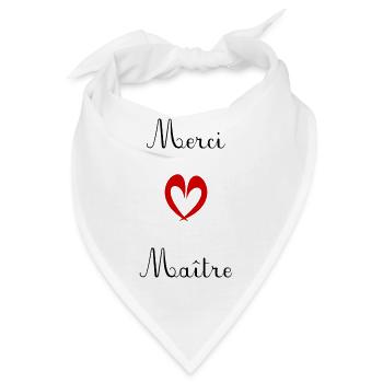 MEISTER. MEISTER. VIELEN DANK. DANKE, MEISTER. MEISTER - Bandana - Weiß - Vorne
