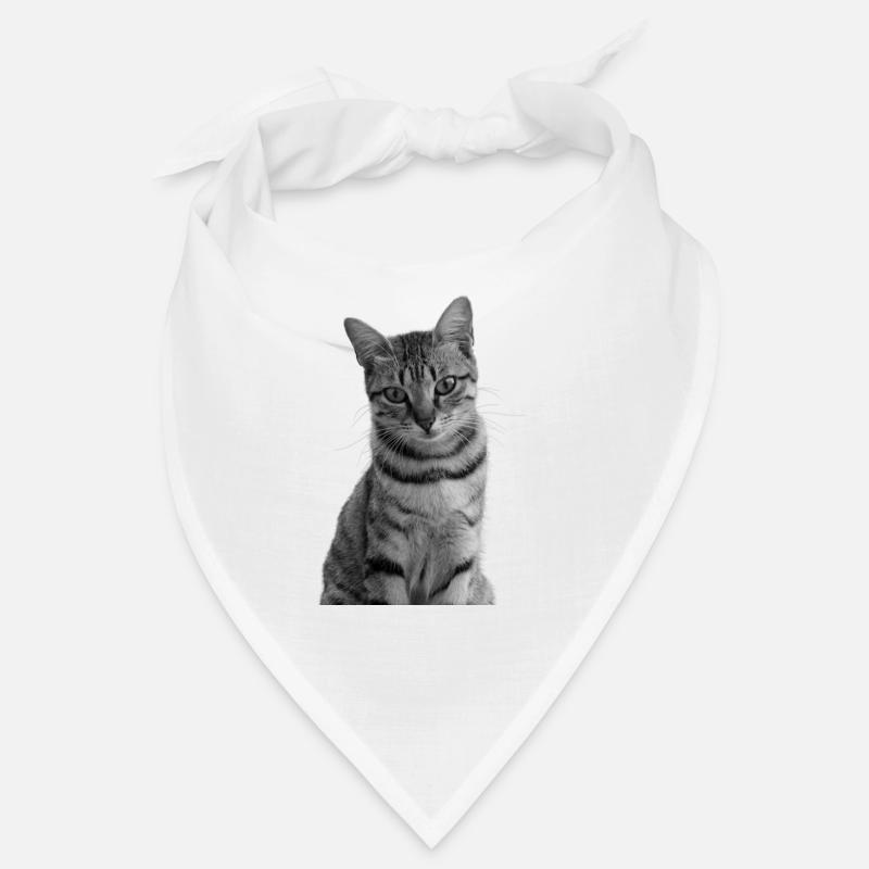Chat blanc-noir Chat noir et blanc Bandana