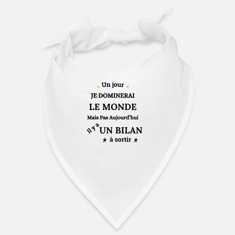 Comptable Comptabilité Métier Bandana