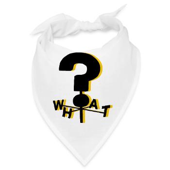 Die Schwerkraft fällt WAS? - Bandana - Weiß - Vorne