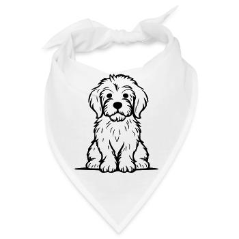 Doodle Welpe - Bandana - Weiß - Vorne