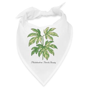 stylische Pflanze - Philodendron Florida Beauty  - Bandana - Weiß - Vorne