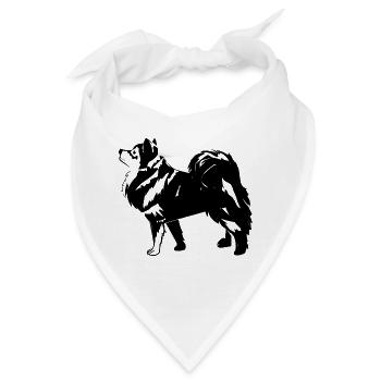 Finnischer Schoßhund im Profil - Bandana - Weiß - Vorne