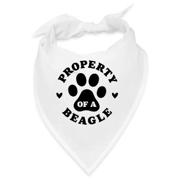 Eigentum eines Beagle - Bandana - Weiß - Vorne