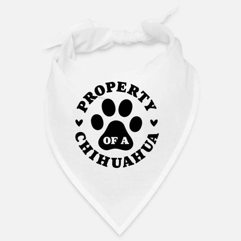 Eigentum eines Chihuahua Bandana