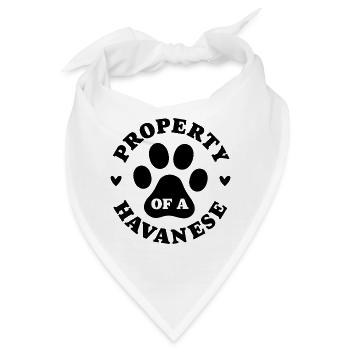 Eigentum eines Havanesers - Bandana - Weiß - Vorne