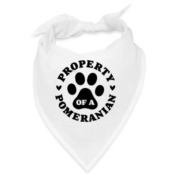 Eigentum eines Zwergspitzs - Bandana - Weiß - Vorne