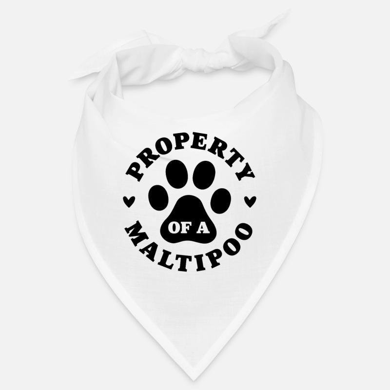 Propriété d’un Maltipoo Bandana