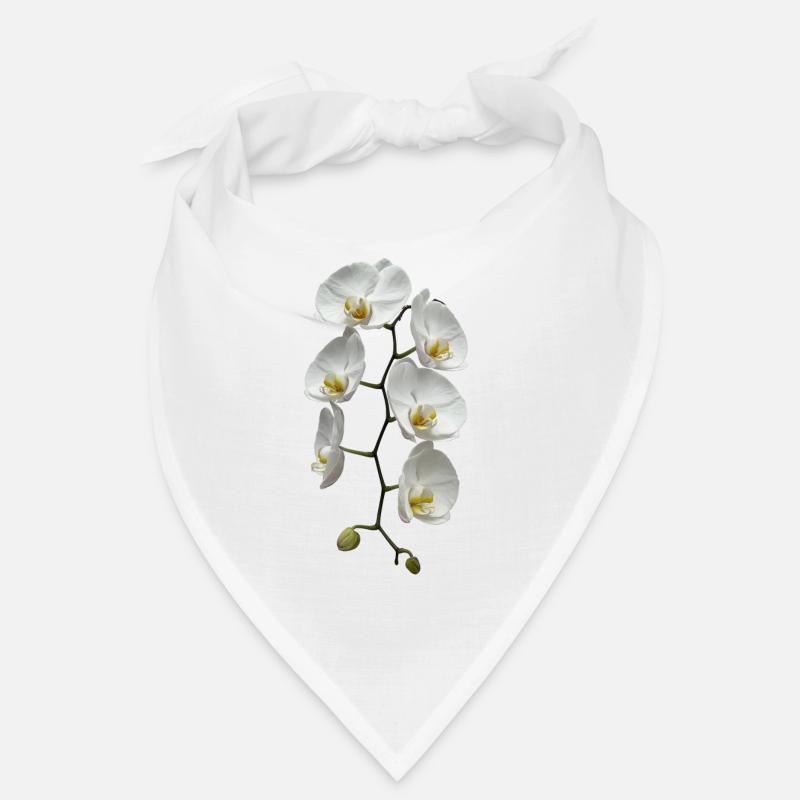 Orchidee Bandana