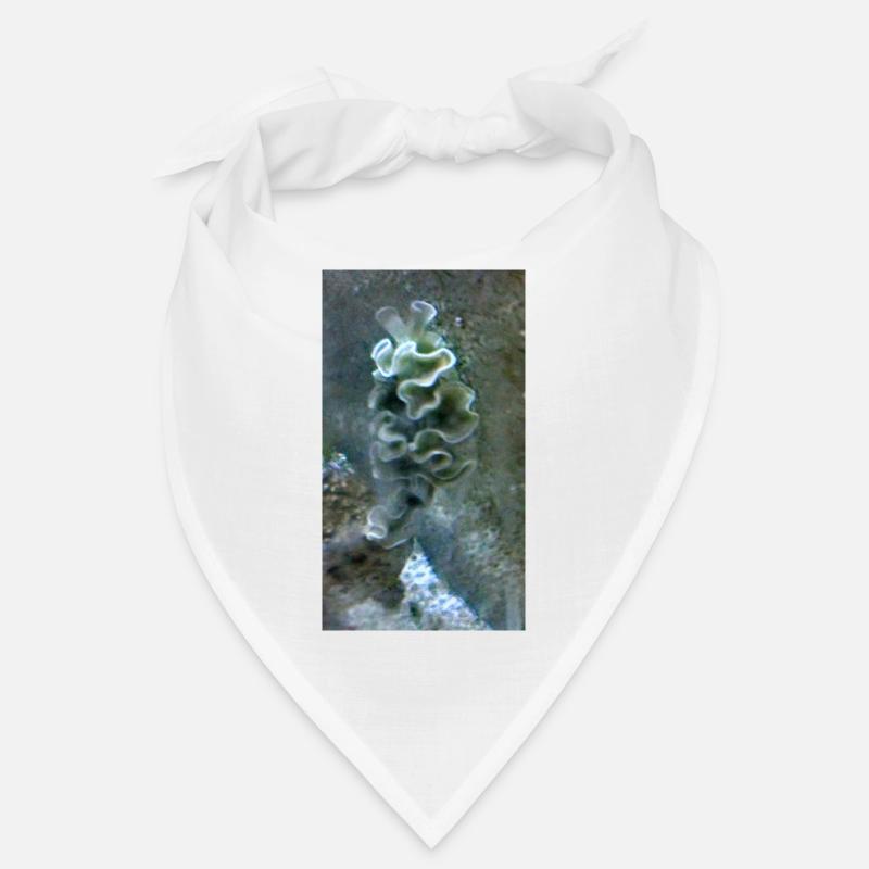 Escargot de mer Bandana
