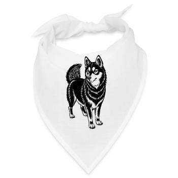 Alaska Klee Kai - Bandana - Weiß - Vorne