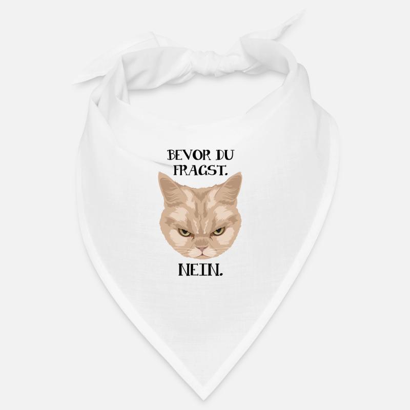 Grumpy Cat - Avant de demander_Non - P. Bandana