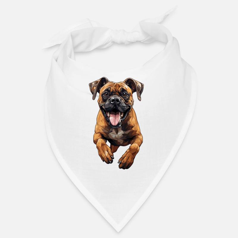 Boxer dans la conception de polygones de saut Bandana
