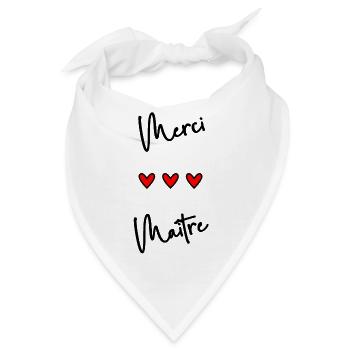 MEISTER. MEISTER. VIELEN DANK. DANKE, MEISTER. MEISTER - Bandana - Weiß - Vorne