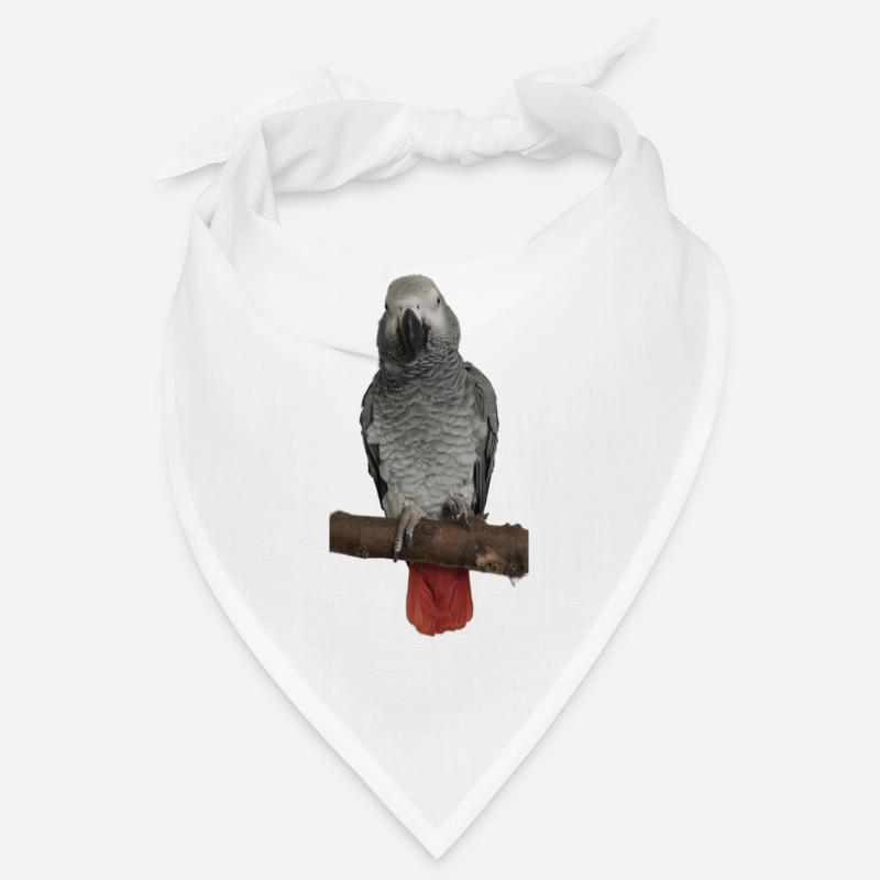 Perroquet gris sur branche Bandana