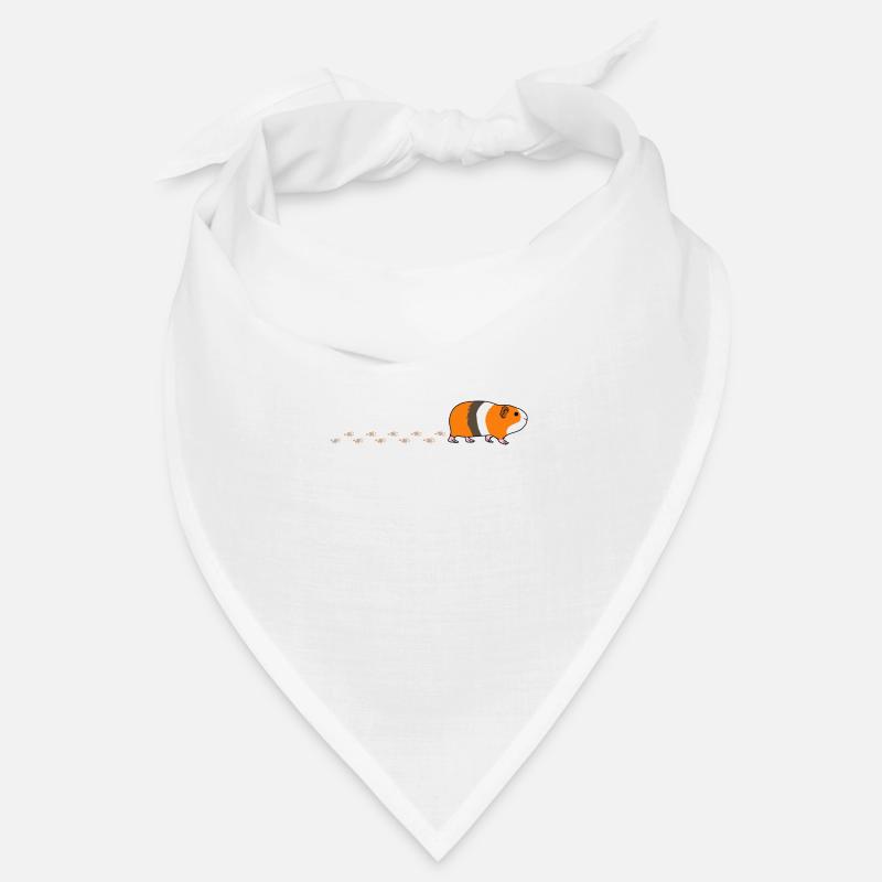 Cochons d'Inde dandinés, rongeurs, pattes de pied Bandana