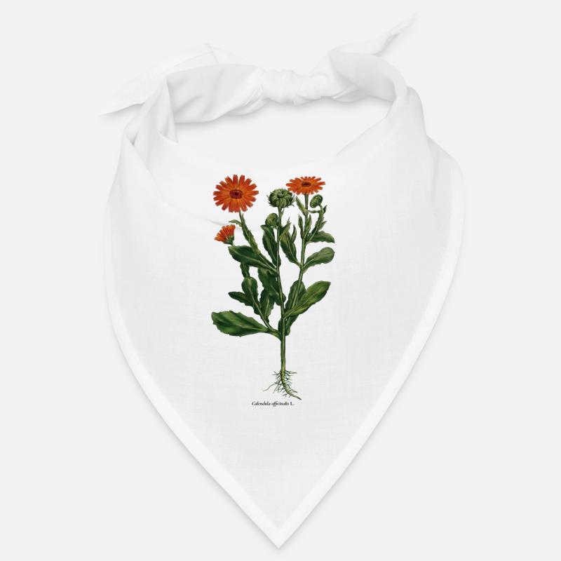 Calendula Bandana