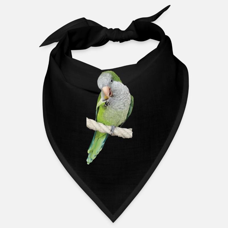 Perruche d’Argentine Bandana