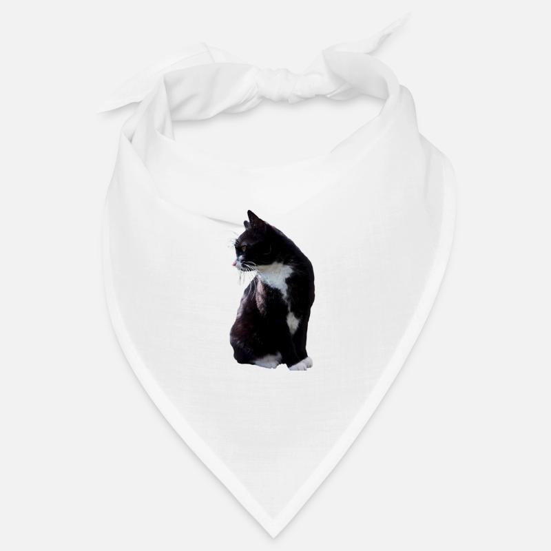 Chat, chaton, design, graphisme, réel, réaliste Bandana