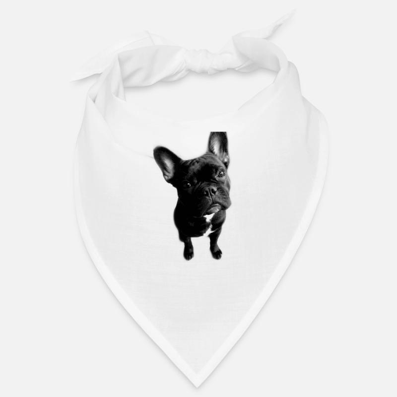 Bouledogue français - Bandana - blanc
