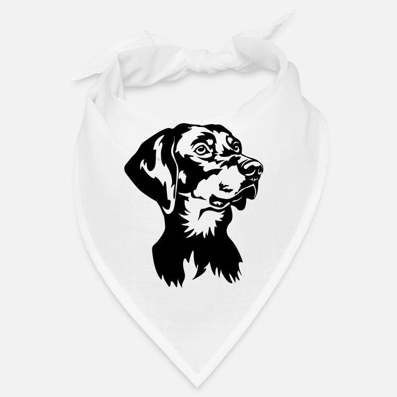 Tête de Brandlbracke Bandana