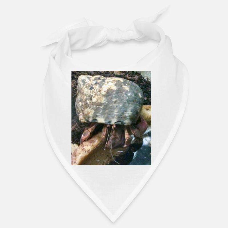 Einsiedlerkrebs Bandana