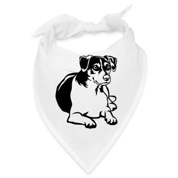 Dansk Svensk Gaardhond - Bandana - Weiß - Vorne