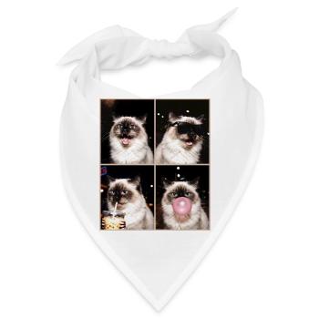 Katzen Himalaya Katze - Bandana - Weiß - Vorne