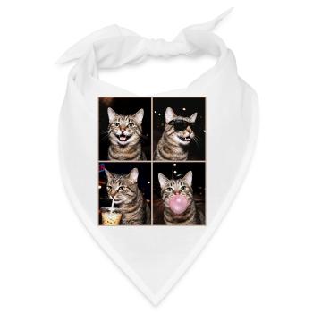 Katzen Manx Katze - Bandana - Weiß - Vorne