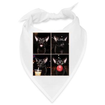 Katzen Orientalisch Kurzhaar Katze - Bandana - Weiß - Vorne