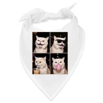Katzen Perser Katze - Bandana - Weiß - Vorne