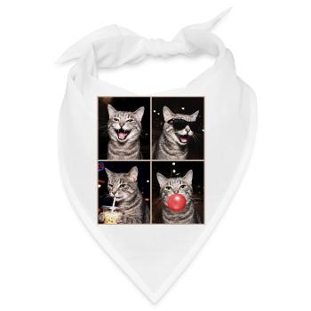 Katzen Graue Tabby Katze - Bandana - Weiß - Vorne