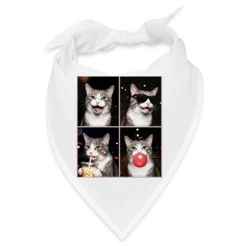 Katzen Graue Tabby Katze - Bandana - Weiß - Vorne