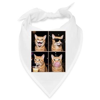 Katzen orange Tabby Katze - Bandana - Weiß - Vorne