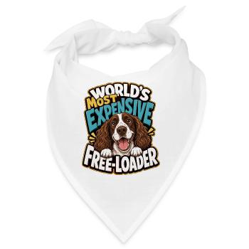 Englischer Springer-Spaniel - Bandana - Weiß - Vorne