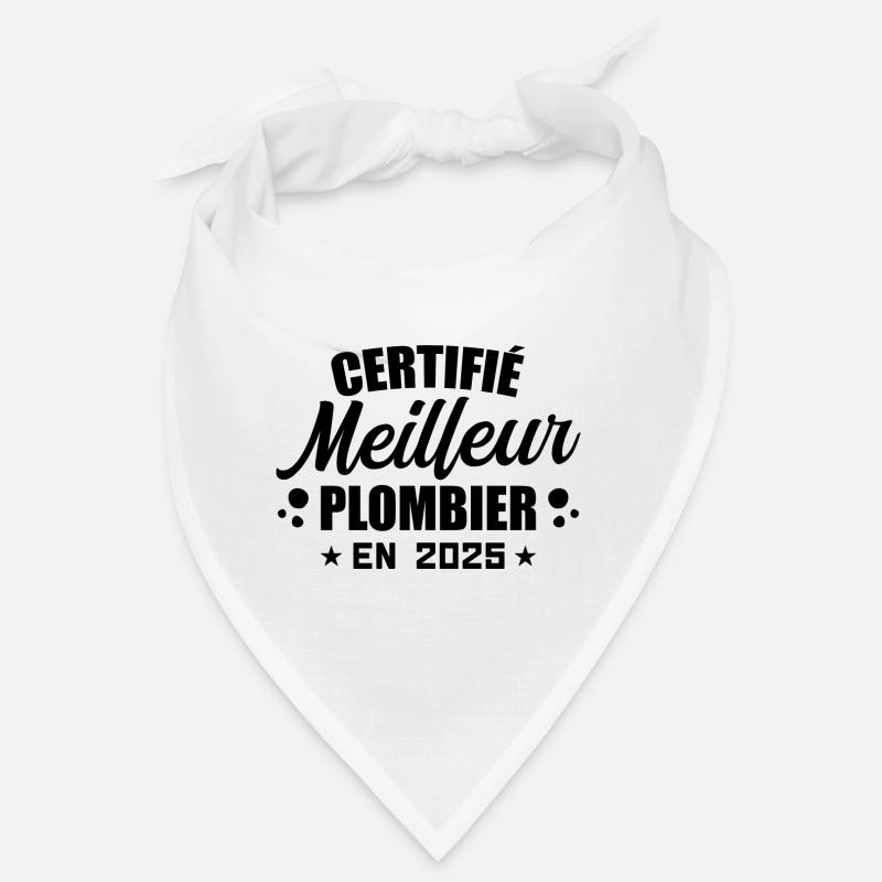 Zertifizierter bester Klempner im Jahr 2025 Bandana