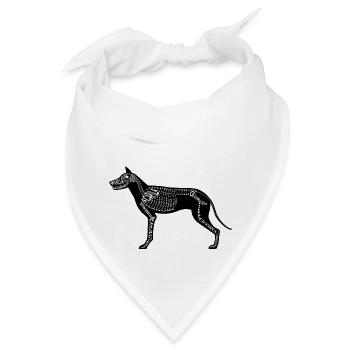 Hunde-Skelett - Bandana - Weiß - Vorne