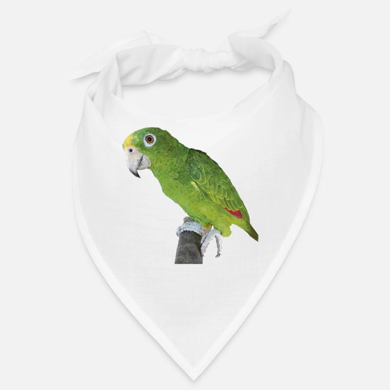 Le perroquet royal amazonien Bandana