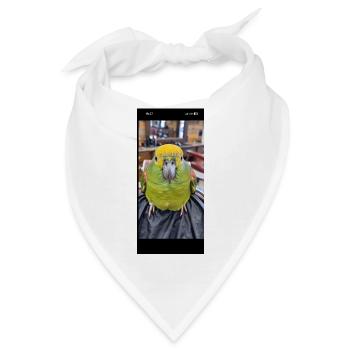Grüner Papageienkopf – Neon Gelb Akzent - Bandana - Weiß - Vorne