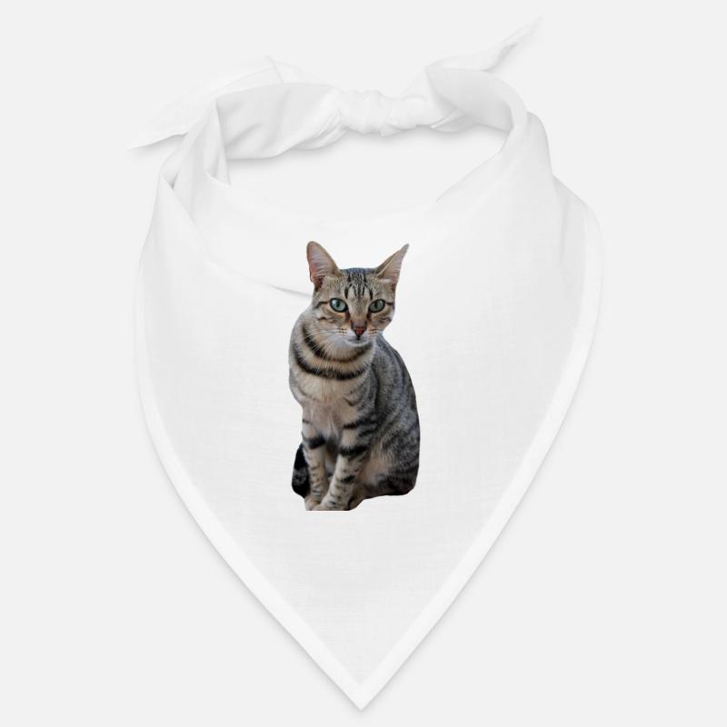 Chaton chat Bandana
