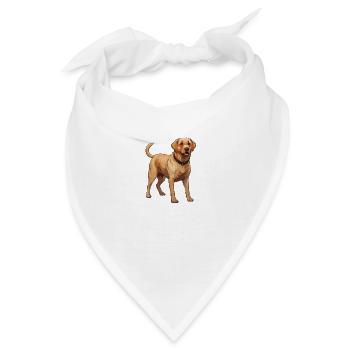 Golden Retriever Illustration apportier Hund - Bandana - Weiß - Vorne