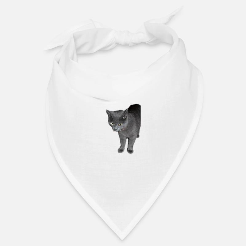 Chat noir gris Bandana