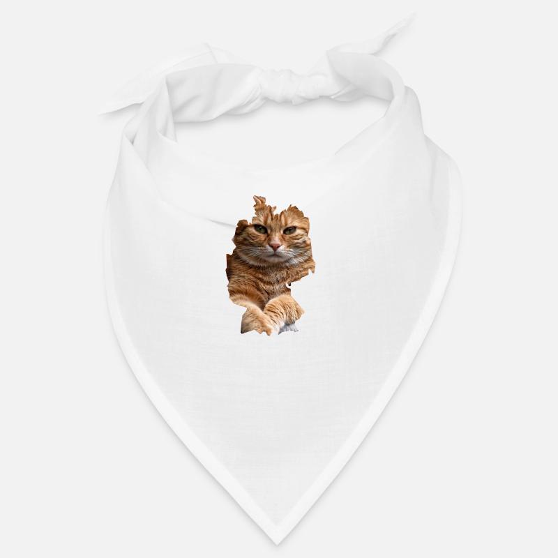 Chat, Chats Bandana