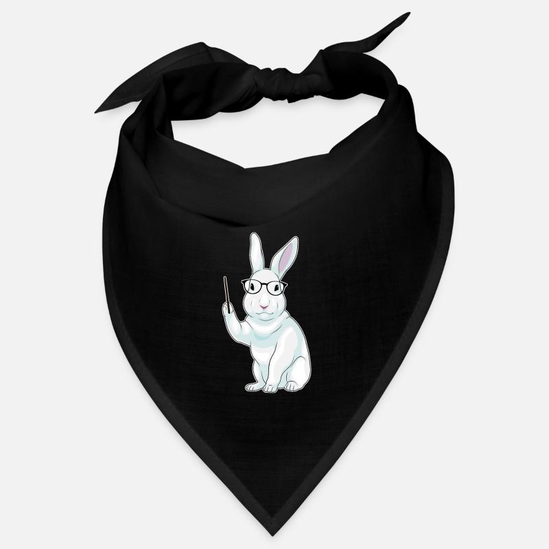 Bunny Teacher Pointer Bandana