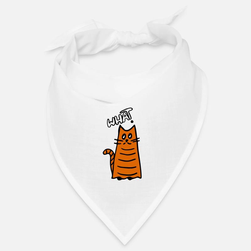 What? Cat question Bandana