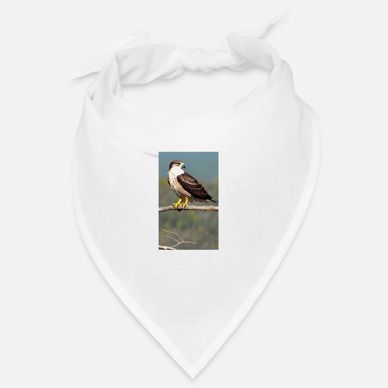 Eagle | Birds | Freedom | Animals Bandana