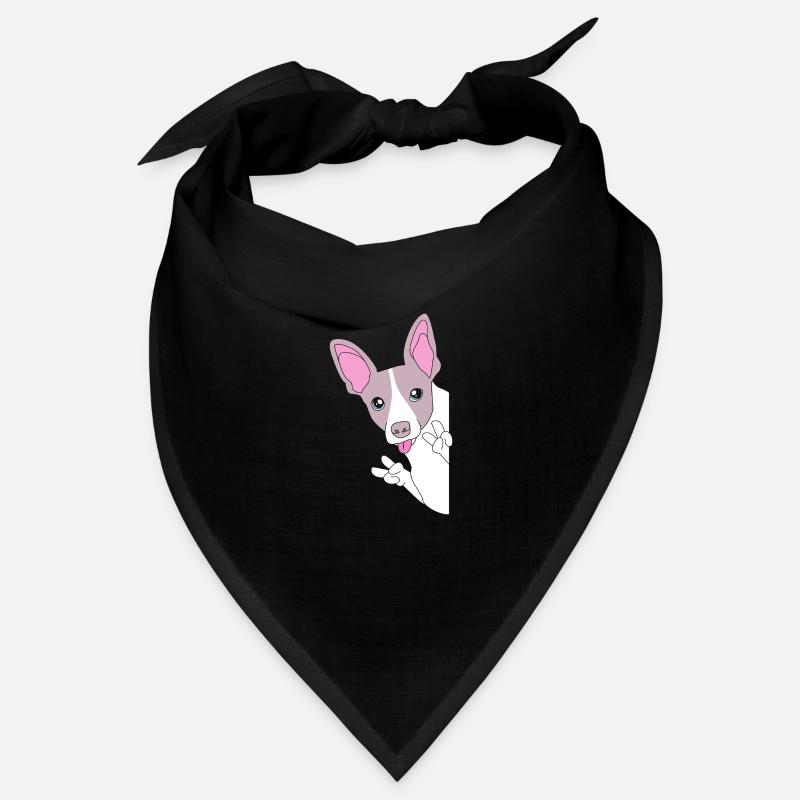 Rat Terrier Bandana