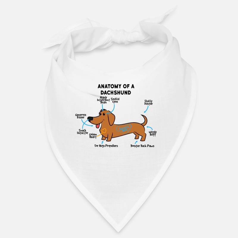 Anatomie d’un teckel Bandana